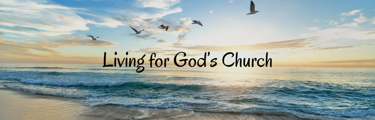 A Blog, Living for God's Church