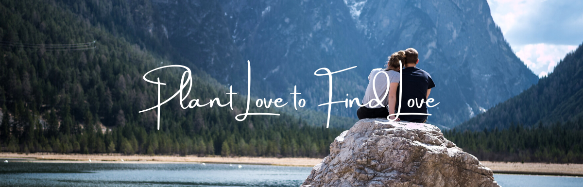 A Blog, Plant to Find Love