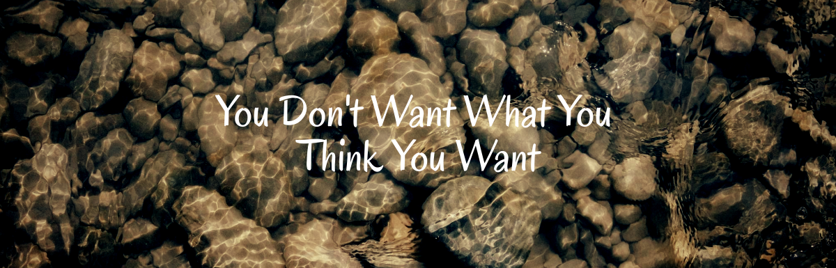 A Blog, You Don't Want What You Think You Want