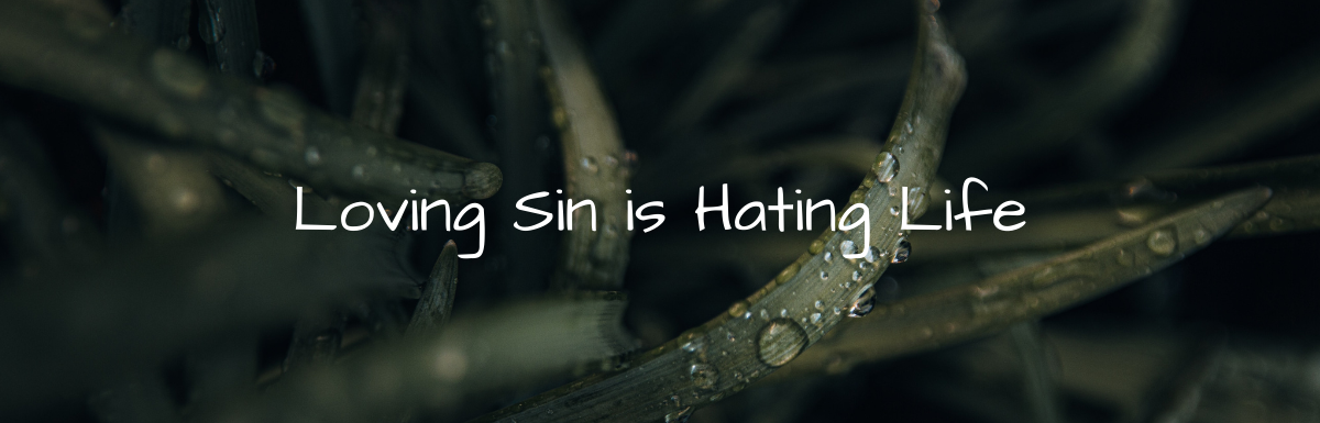 A Blog, Loving Sin is Hating Life