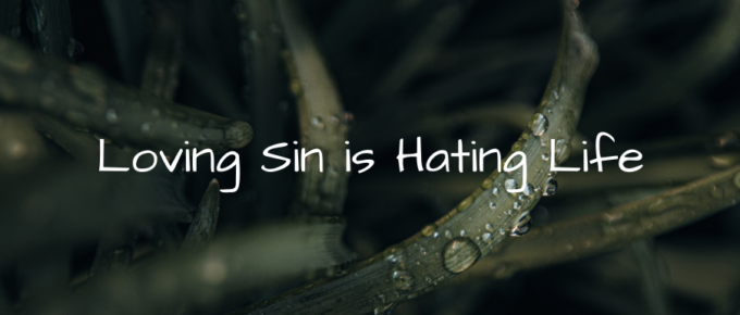 A Blog, Loving Sin is Hating Life