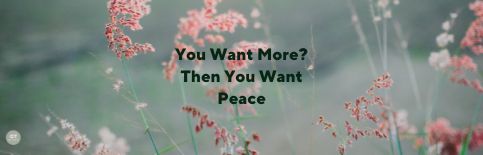 You Want More? Then You Want Peace