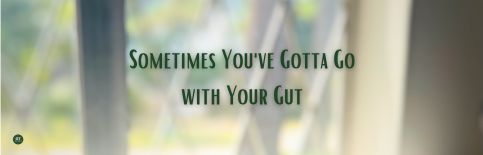Sometimes You've Gotta Go with Your Gut, a blog by Gary Thomas