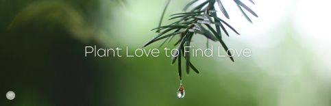 Plant Love to Find Love a blog by Gary Thomas