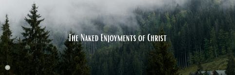 The Naked Enjoyments of Christ a blog by Gary Thomas